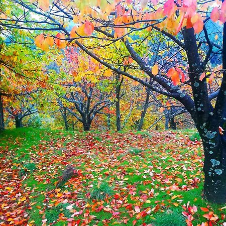 La Albarea By #Cherrygredos El Arenal  Luaran gambar