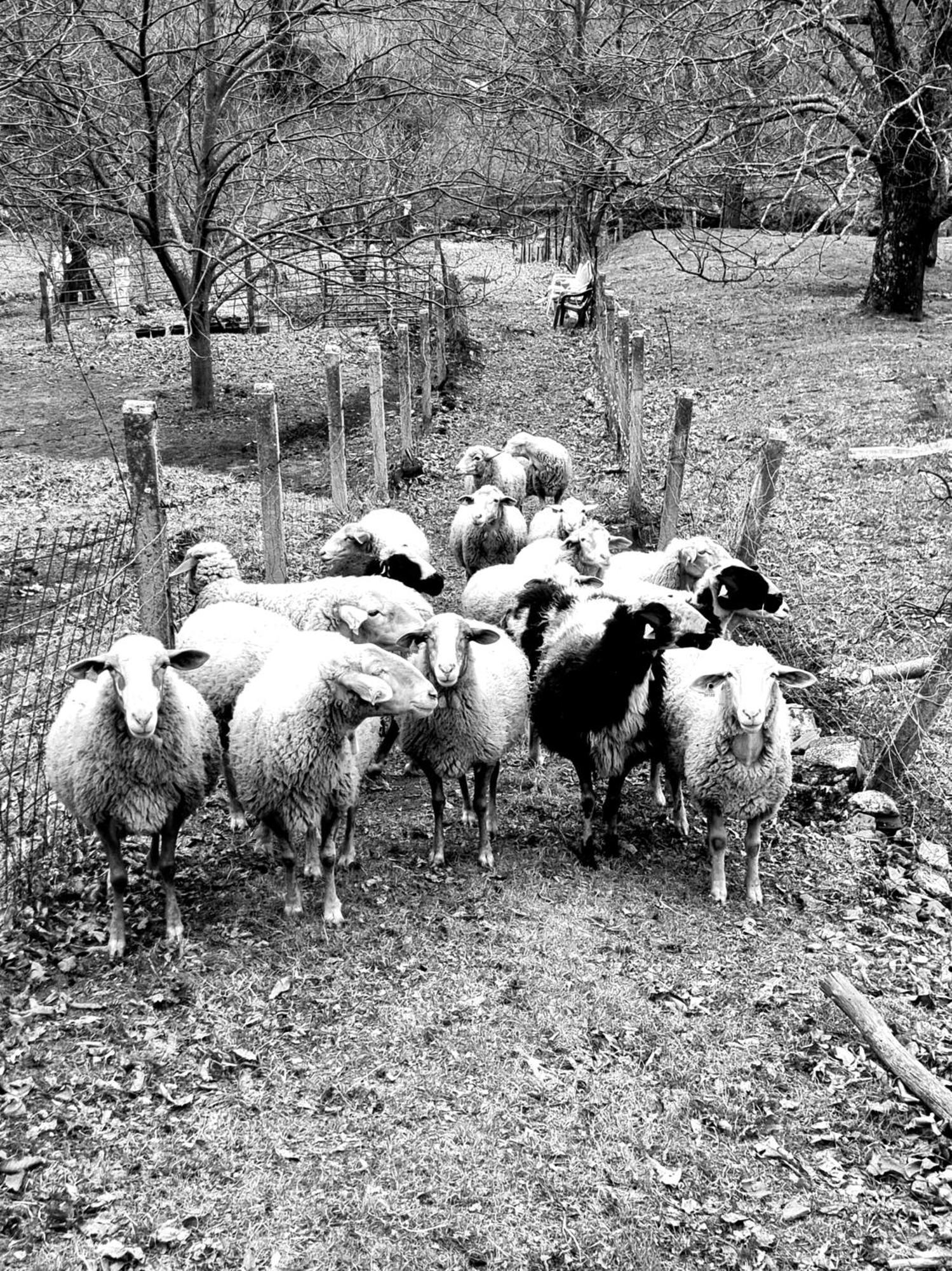 La Albarea By #Cherrygredos El Arenal  Luaran gambar