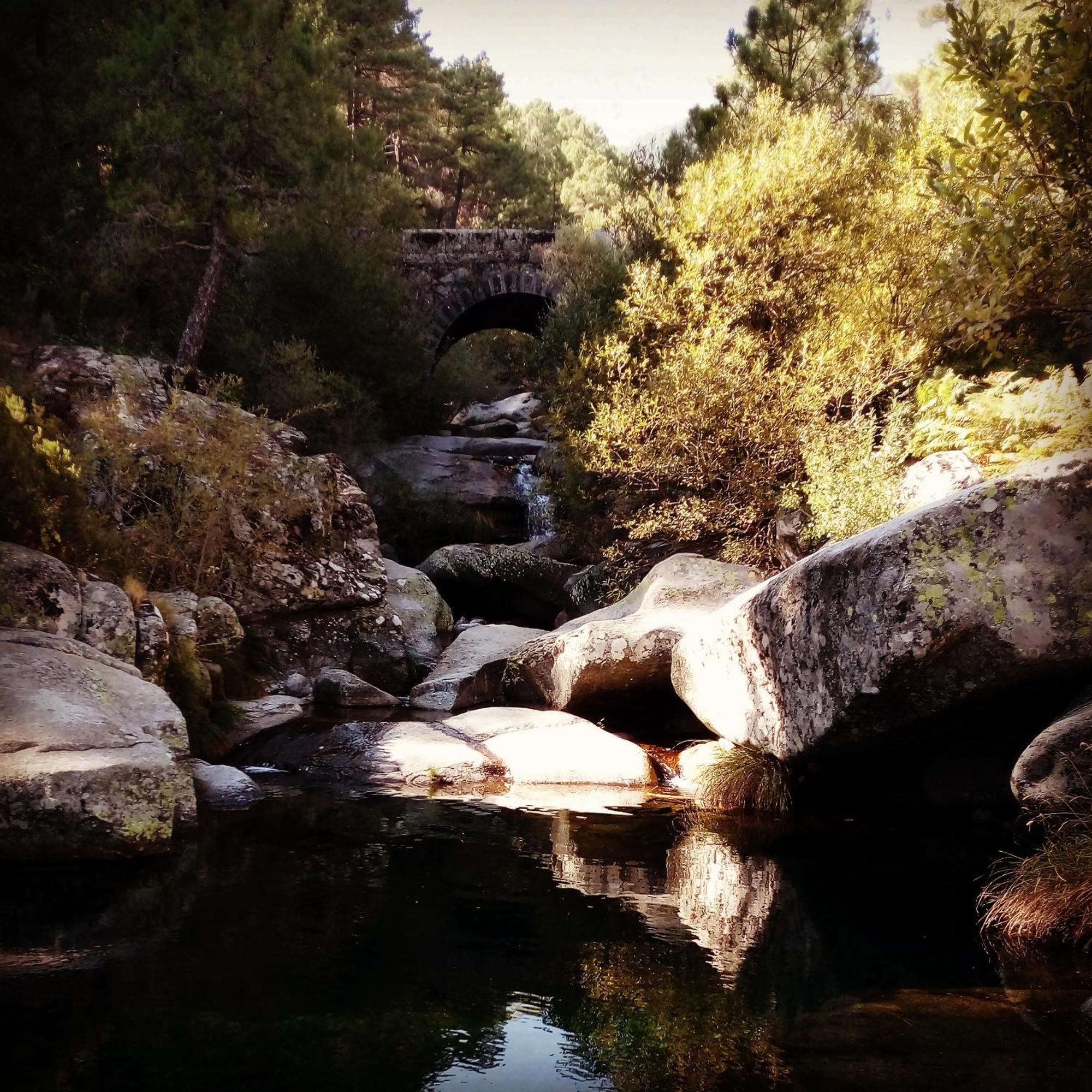 La Albarea By #Cherrygredos El Arenal  Luaran gambar