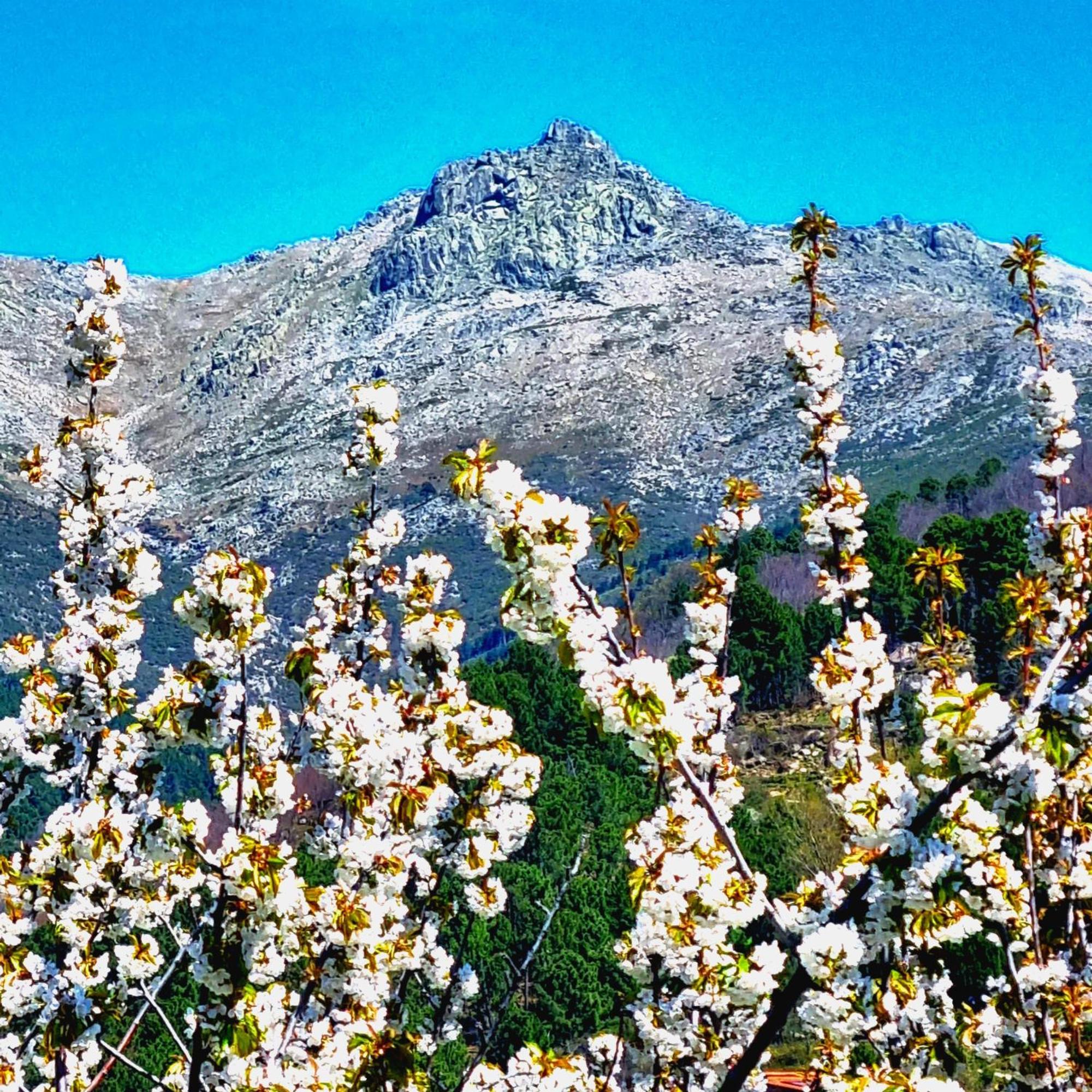 La Albarea By #Cherrygredos El Arenal  Luaran gambar